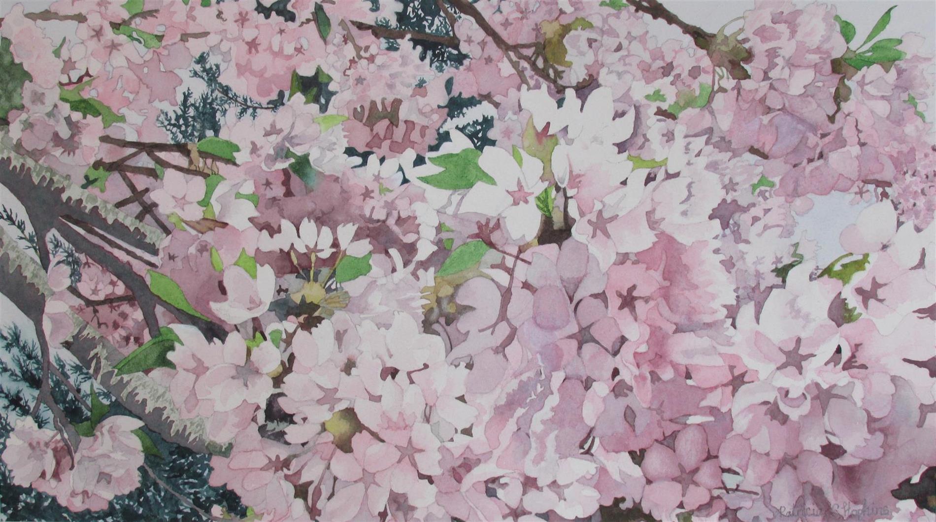Cherry Blossoms by Patricia S. Hopkins.jpg